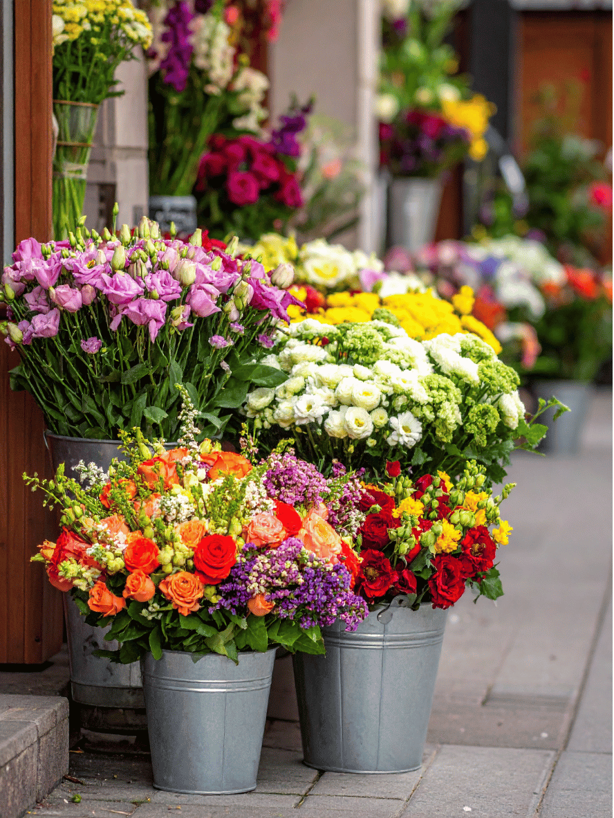 White Modern Business Proposal (14)